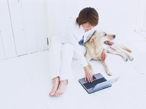 お菓子を新鮮なままラッピングして贈ろう